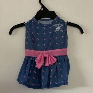 Beverly Hills polo club dog dress